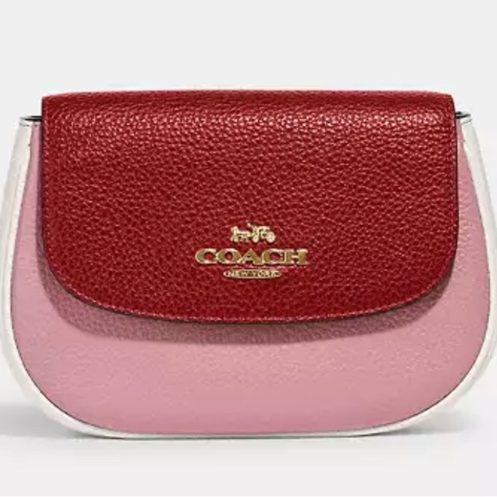 COACH Saddle Belt Bag in Colorblock